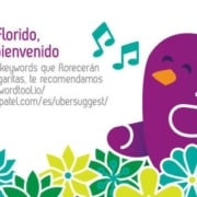 agencia seo